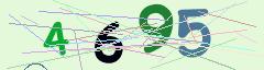 CAPTCHA validation image