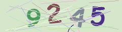 CAPTCHA validation image