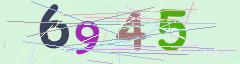 CAPTCHA validation image