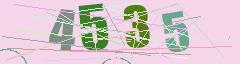 CAPTCHA validation image